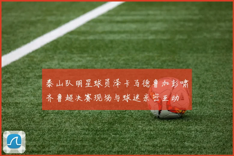 泰山队明星球员泽卡马德鲁加彭啸齐鲁超决赛现场与球迷亲密互动