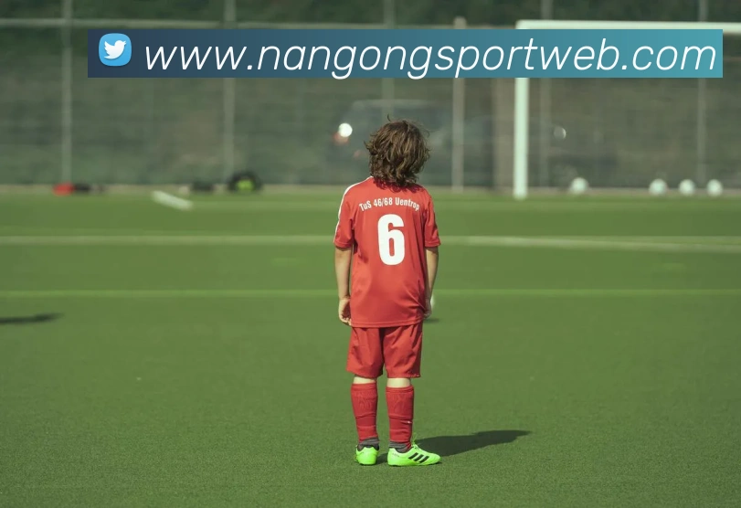 南宫体育平台生态图