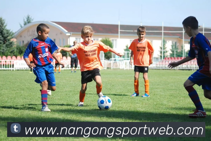 南宫体育全站App